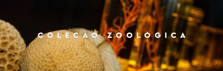 Coleção Zoológica