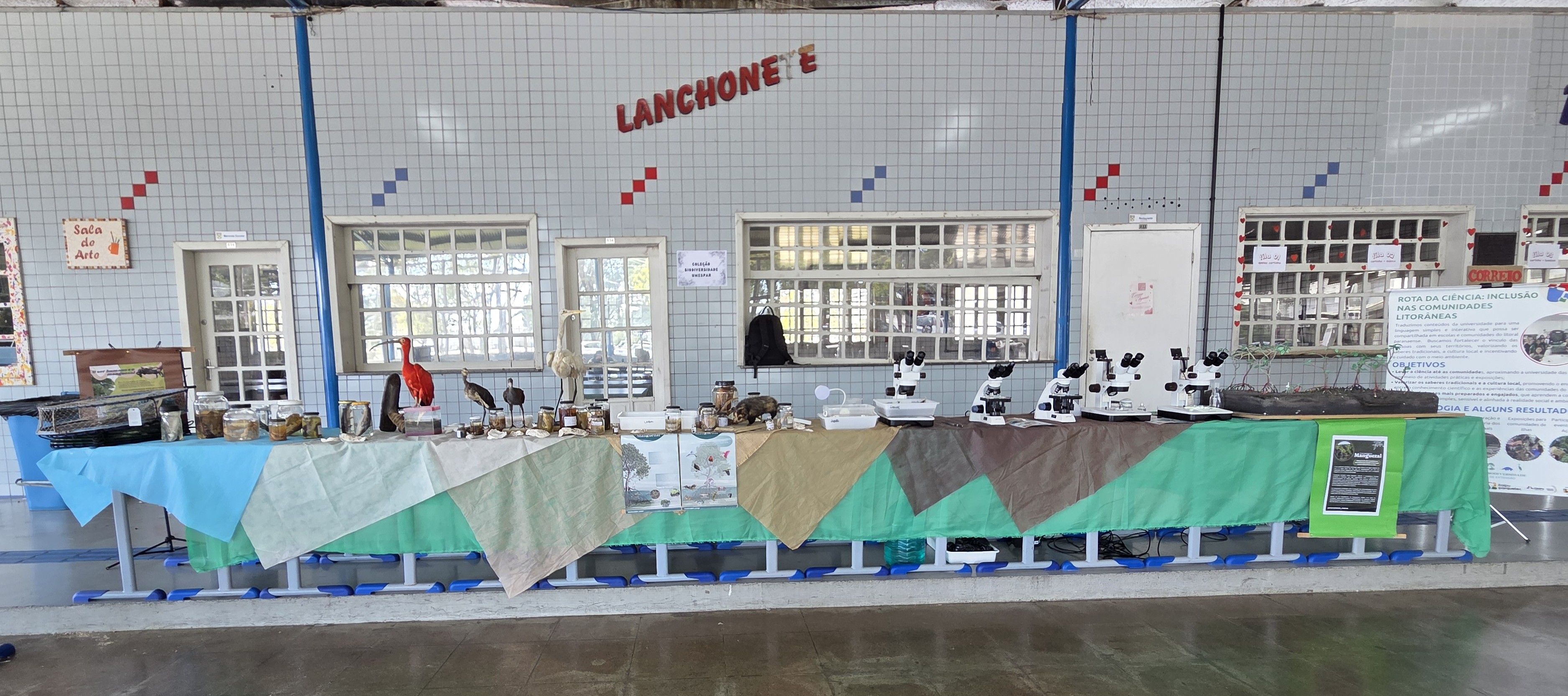 Participação no Projeto Oceano do Programa Escola Azul